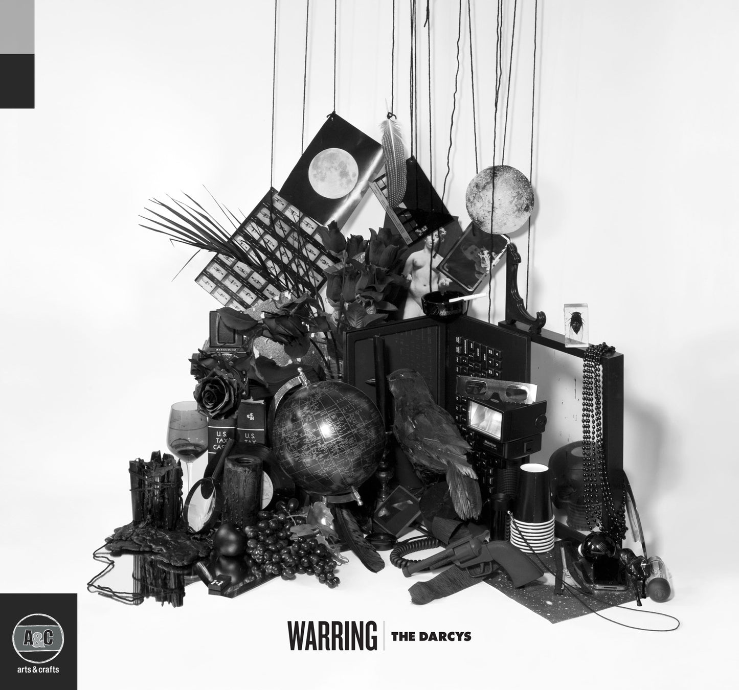 Darcys - Warring