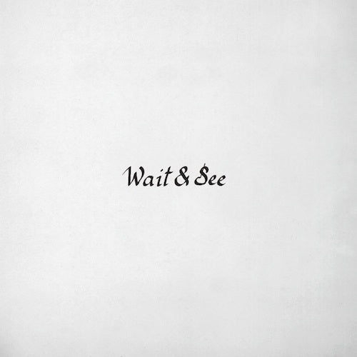 Majical Cloudz - Wait & See - MP3