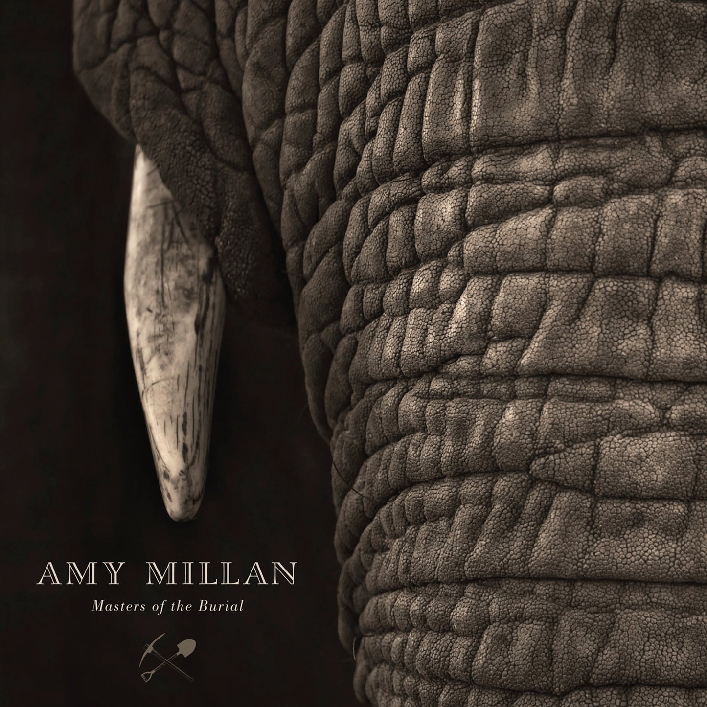 Amy Millan - Masters Of The Burial