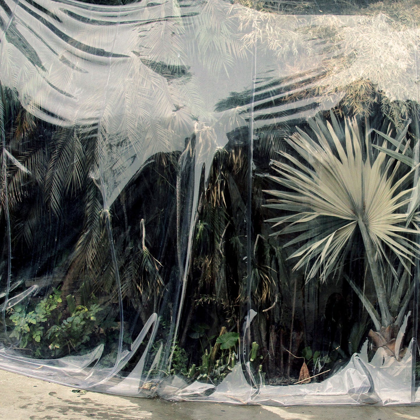 Said the Whale - Cascadia (Deluxe)