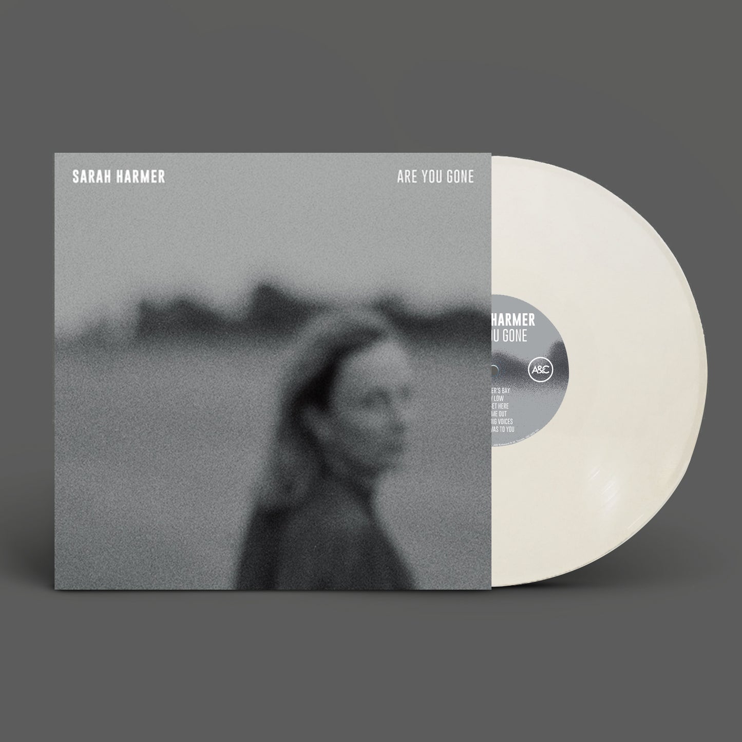Sarah Harmer - Are You Gone