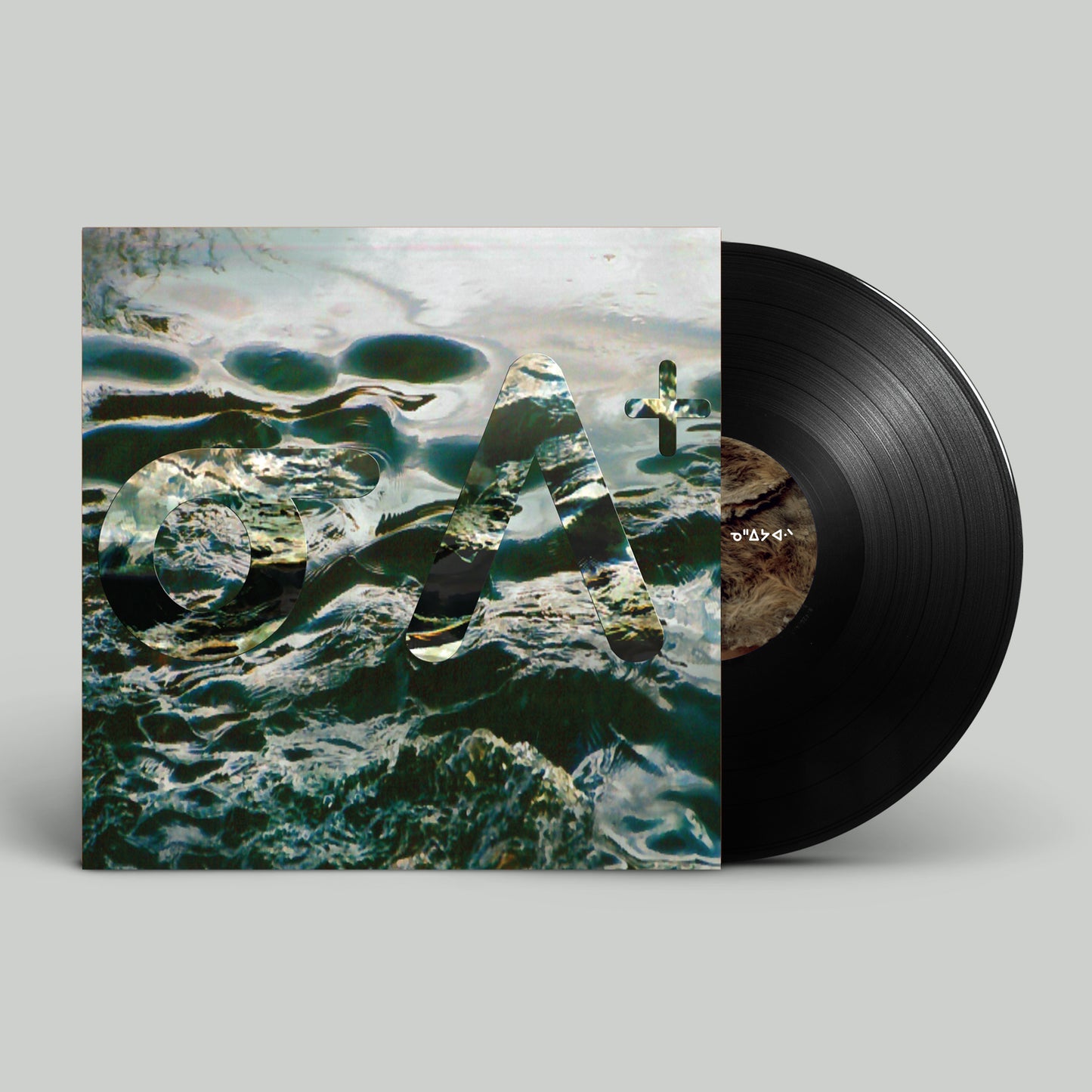 nêhiyawak - nipiy