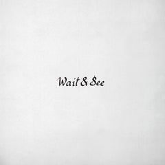 Majical Cloudz - Wait & See - MP3