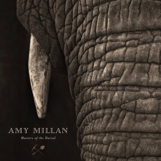 Amy Millan - Masters Of The Burial