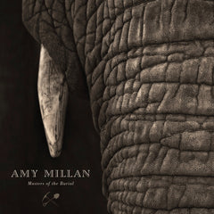 Amy Millan - Masters Of The Burial