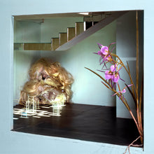 Load image into Gallery viewer, Theo Alexander - Sunbathing Through A Glass Screen
