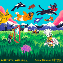 Load image into Gallery viewer, Sean Devlin - Airports, Animals