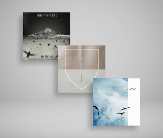 Reuben and the Dark - Full Vinyl Discography
