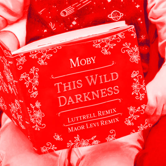 Moby - This Wild Darkness (Luttrell & Maor Levi Remixes)