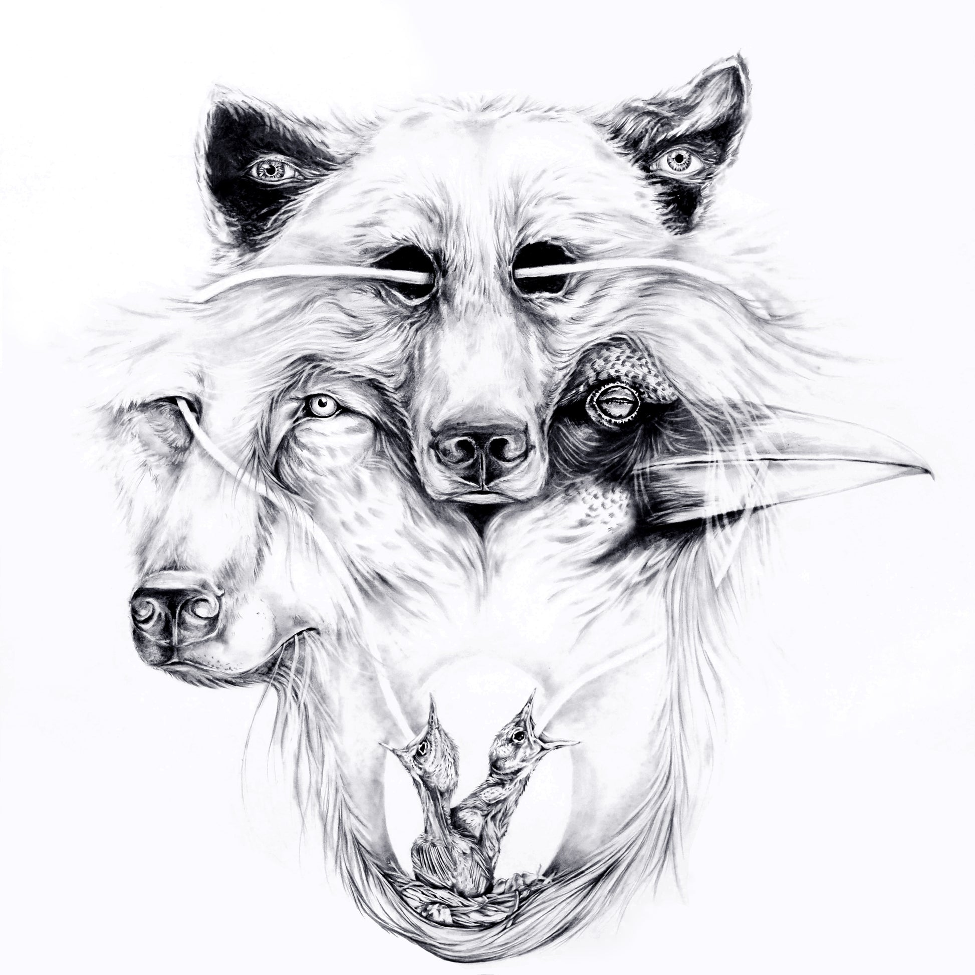 Lowell - Lone Wolf 