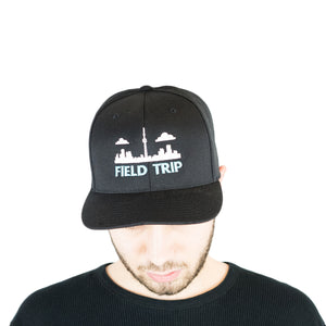 Field Trip - Skyline Snapback Hat